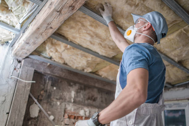 Best DIY Insulation Kits and Guidance in Philippi, WV